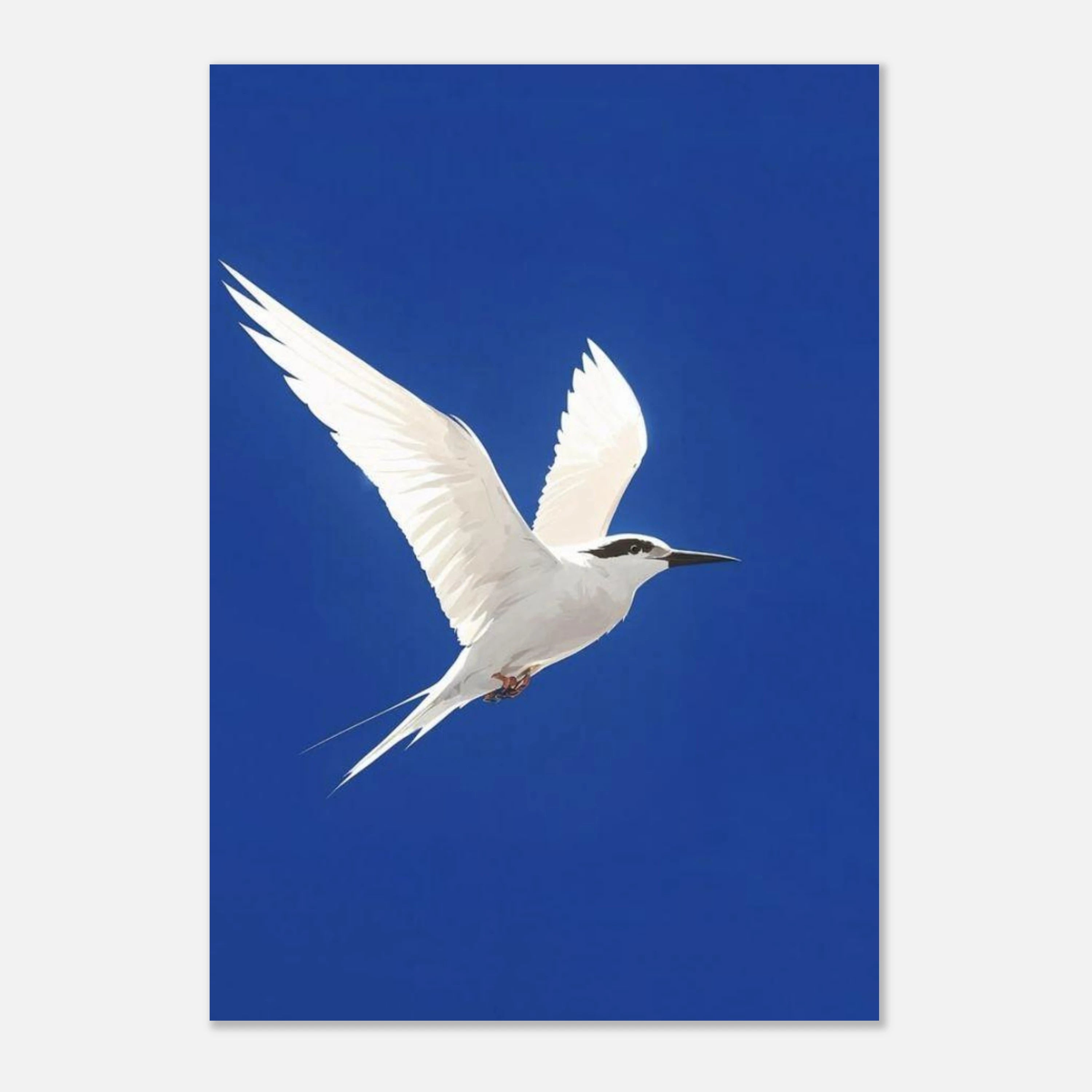 White Bird Blue Sky Art Print