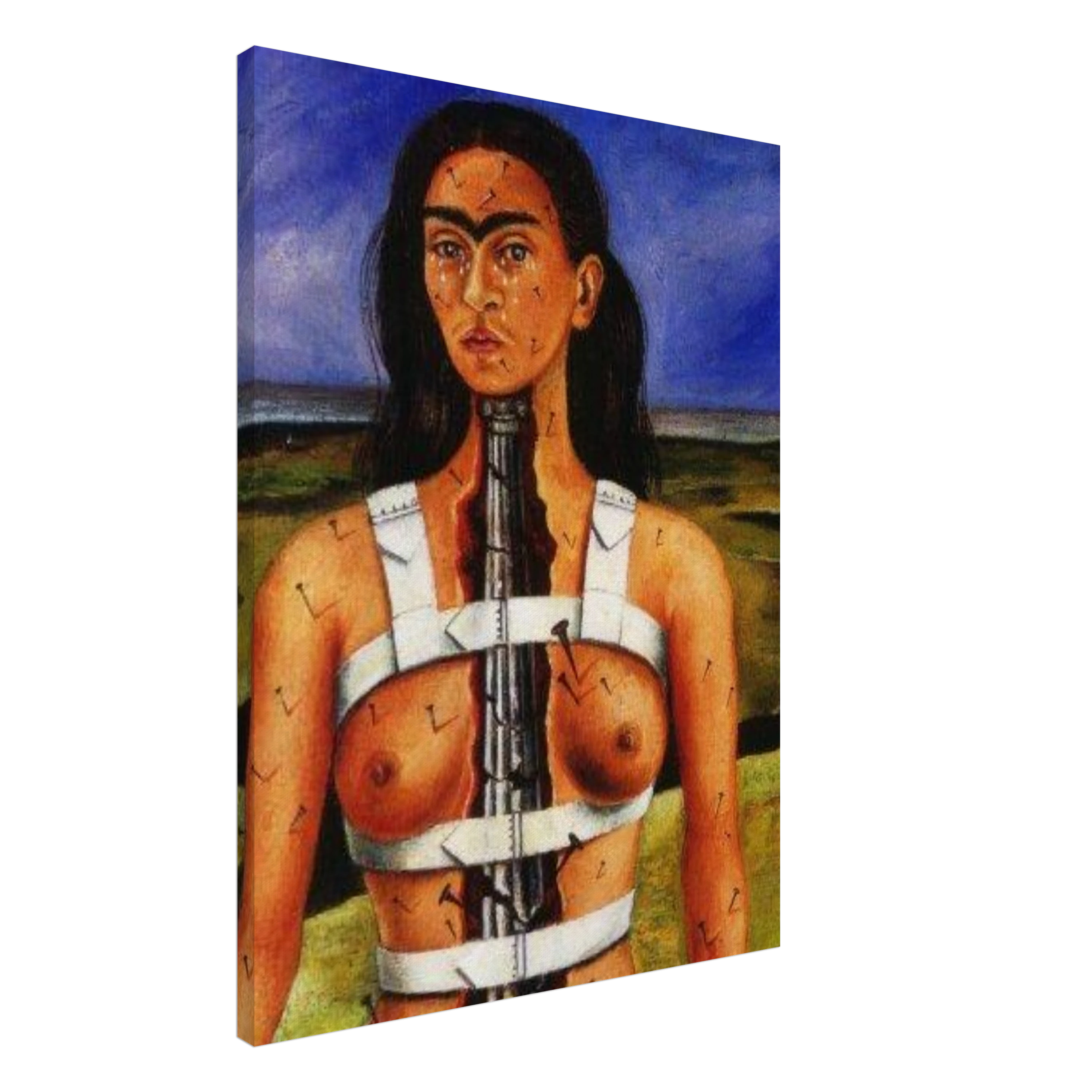 The Broken Column Frida Kahlo