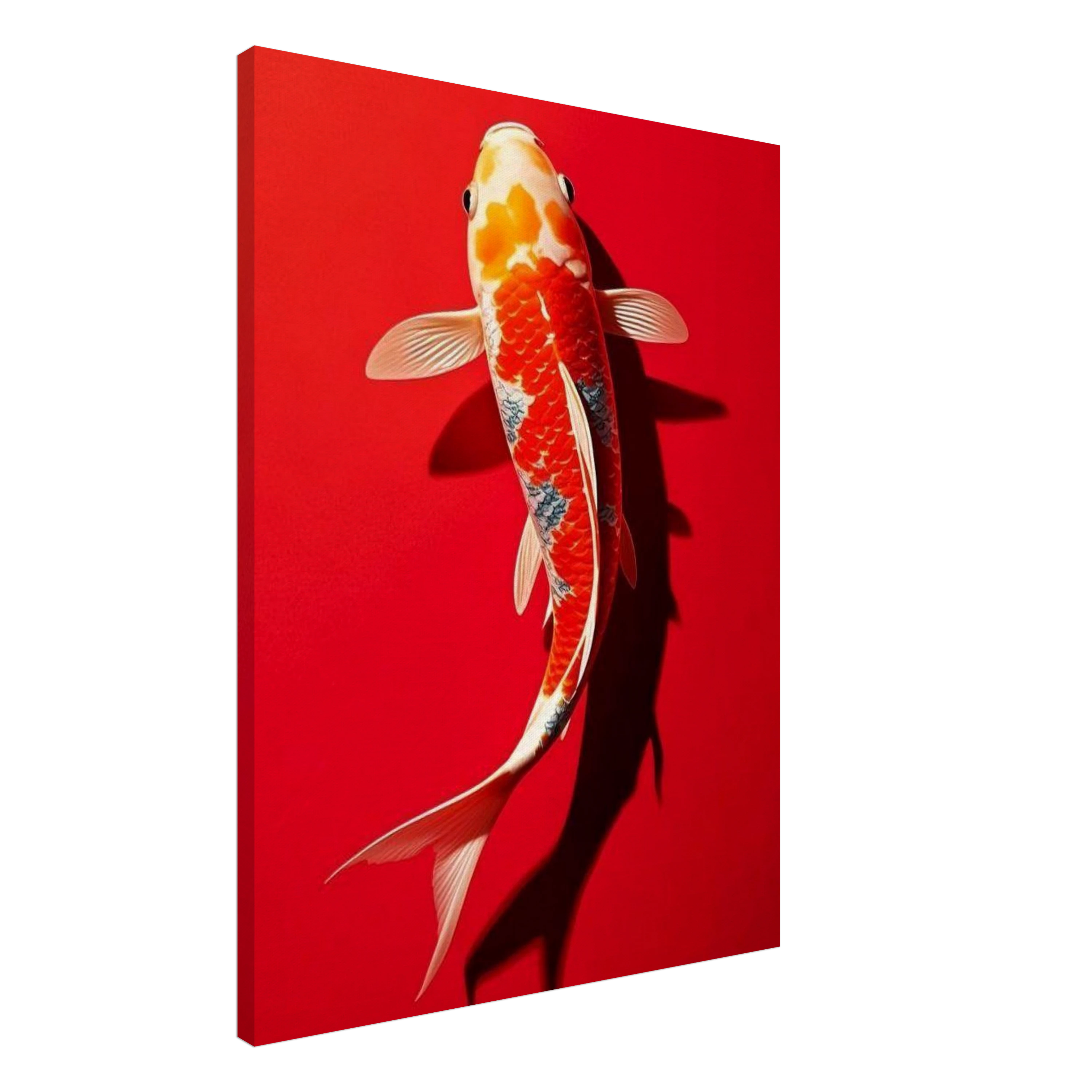 Red Koi Art Print